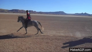 Canter in Morocco