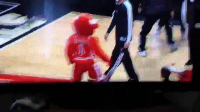Brooklyn Nets beating up Benny the Bull