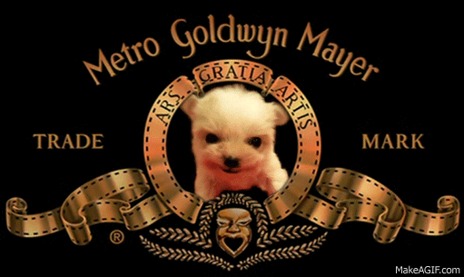 MGM Pup