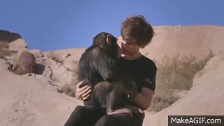 Cute One Direction - Steal My Girl Louis Tomlinson Kisses Monkey