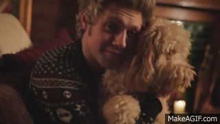 One Direction - Night Changes Holly Cuddles Dog