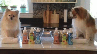 Two families try Softsoap Fragrant Foaming Collection for the first time.