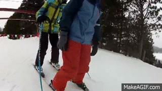 Tandem Ski gif on Make A Gif