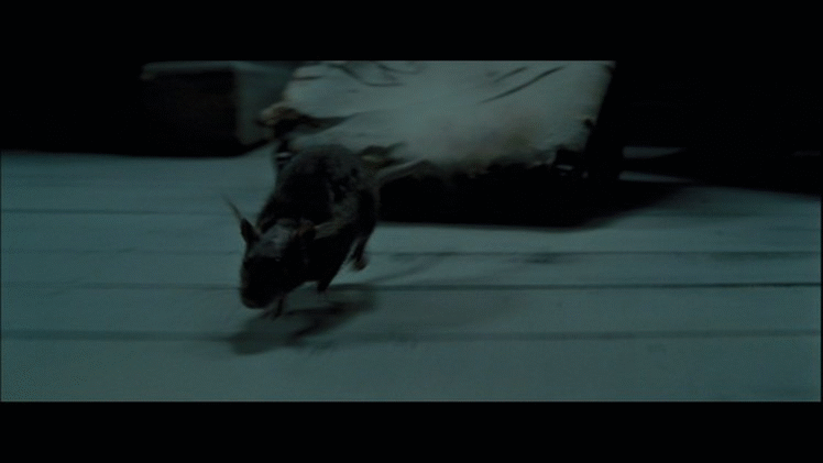 Peter Pettigrew in Azkaban