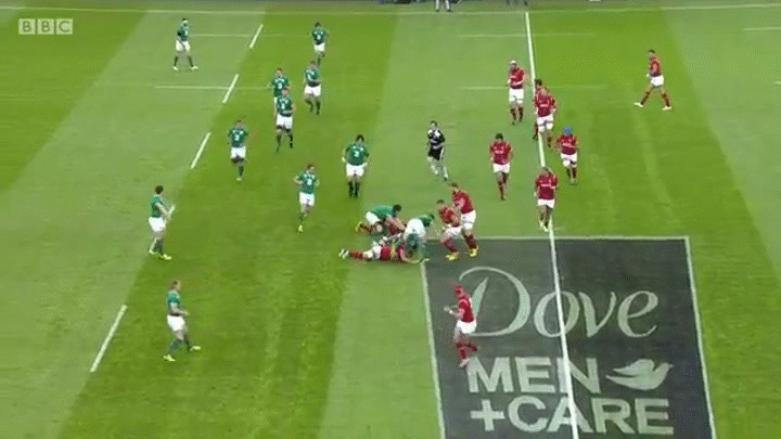 Rugby Warm Up 08.08.2015 Wales v. Ireland