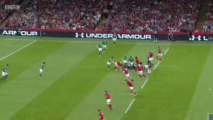 Rugby Warm Up 08.08.2015 Wales v. Ireland