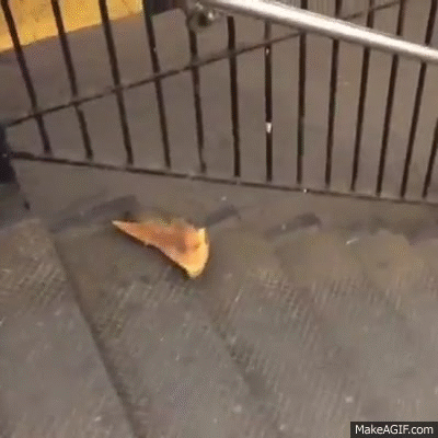 NYC pizza rat at L train station