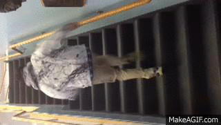 stairs on Make A Gif