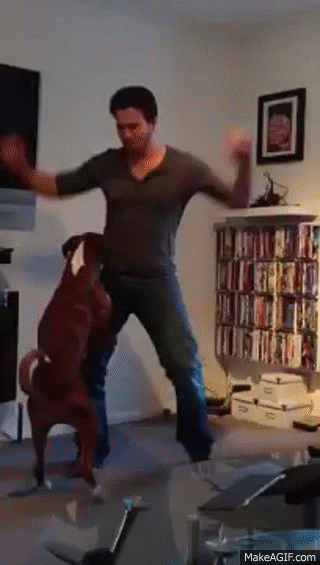 Me dancing with my little boxer dog